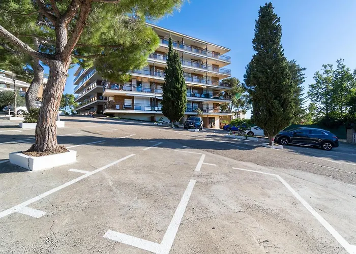 Mediterranean Way - Cye B-8 *